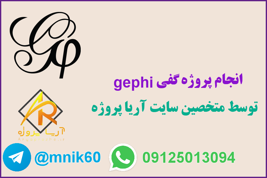 انجام پروژه گفی gephi