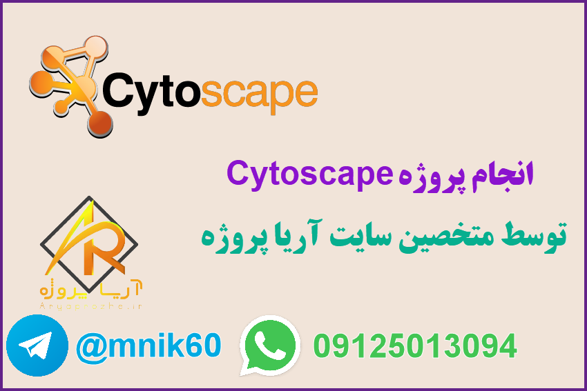 انجام پروژه Cytoscape